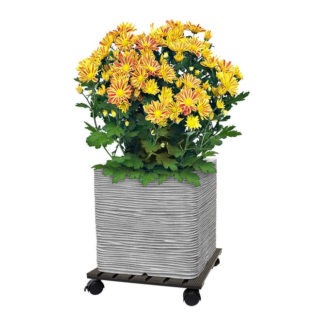 Jack 29cm Charcoal Square Pot Trolley