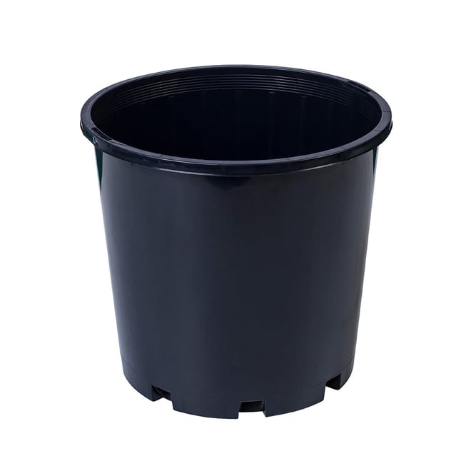 Warratah Slimline Nursery Pot 200mm