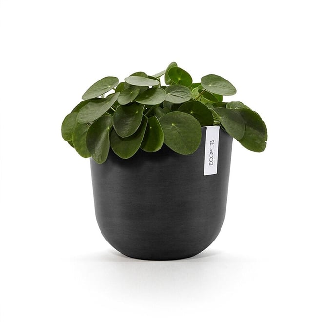 Oslo Eco Pot  25CM Dark Grey