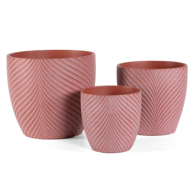Egg Leaf Pot Terracotta Small