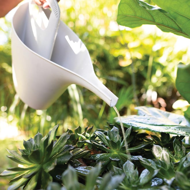 2L ECO Watering Can Frost