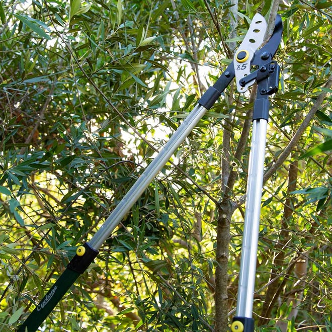 Cyclone Telescopic Ratchet Bypass Lopper