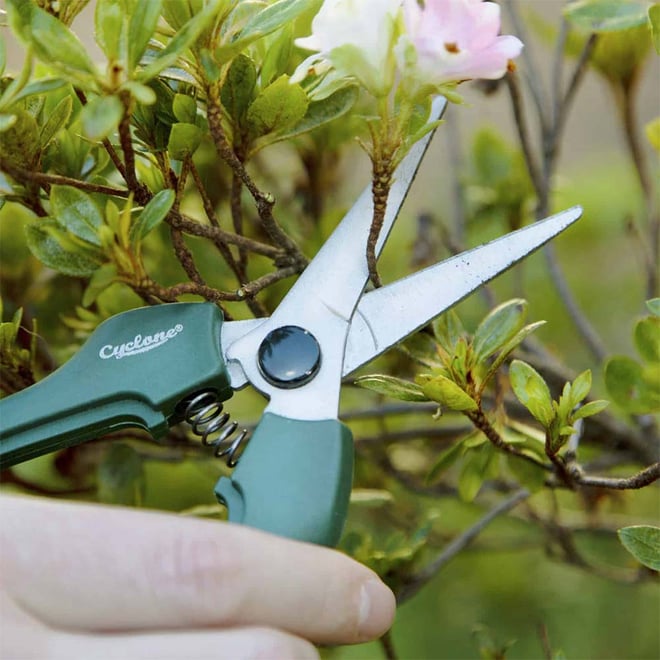 Cyclone Floral Snips