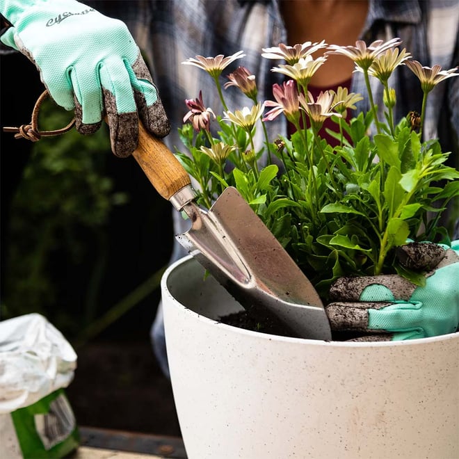 Cyclone Hand Trowel