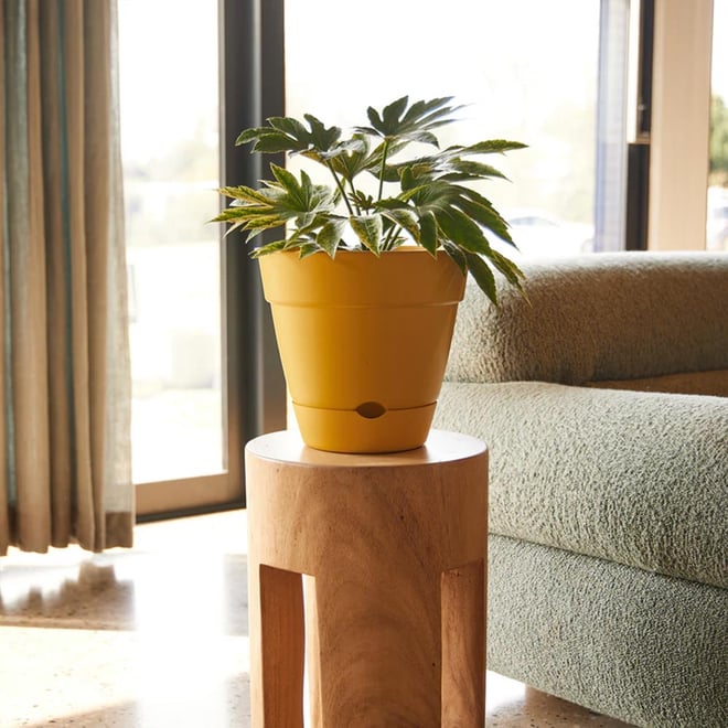 Leonard Self Watering Pot 31x27cm Yellow
