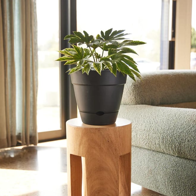 Leonard Self Watering Pot 25x23cm Black