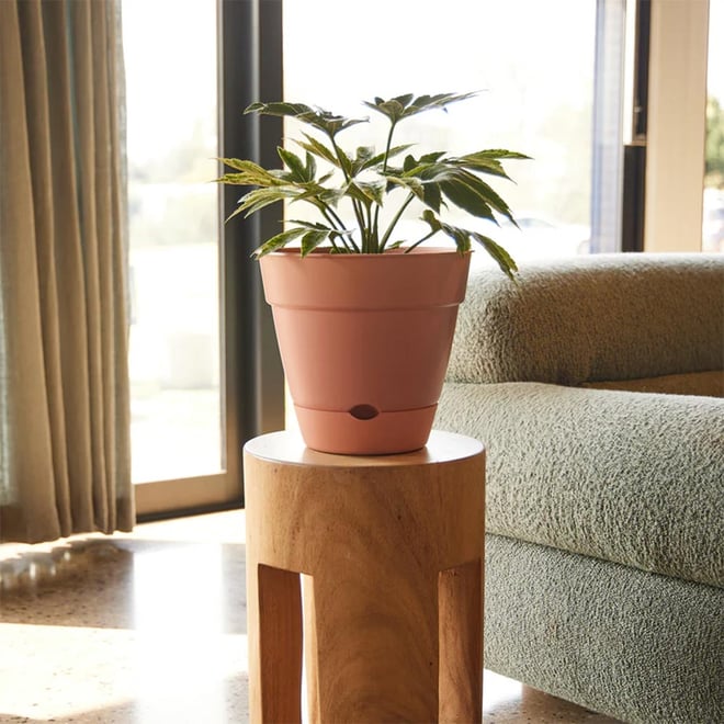 Leonard Self Watering Pot 20x18cm Brick