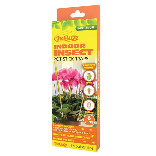 The Buzz Indoor Pot Insect Traps 6Pk