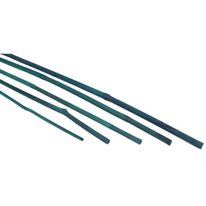 Bamboo Stake 1500mm 15pk Green