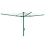 Everyday 47 Rotary Hoist Clothesline Norfolk Pine