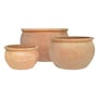 Flat Rim Bowl Small