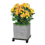 Jack 29cm Charcoal Square Pot Trolley