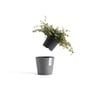 Amsterdam Eco Pot 10.5CM Dark Grey