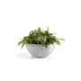 Brussels Eco Pot Bowl 30CM White