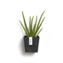Manhattan Wall Eco Pot 15CM D/Grey