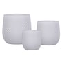 Cylinder Leaf Pot White Small