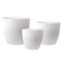 Egg Leaf Pot White Medium