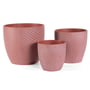 Egg Leaf Pot Terracotta Small