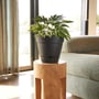 Leonard Self Watering Pot 31x27cm Black