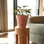Leonard Self Watering Pot 20x18cm Brick