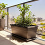 Plastic Trough 80cm Black