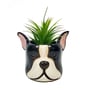 Roxie The Dog Planter Pot
