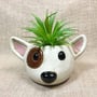 Bones The Dog Planter Pot