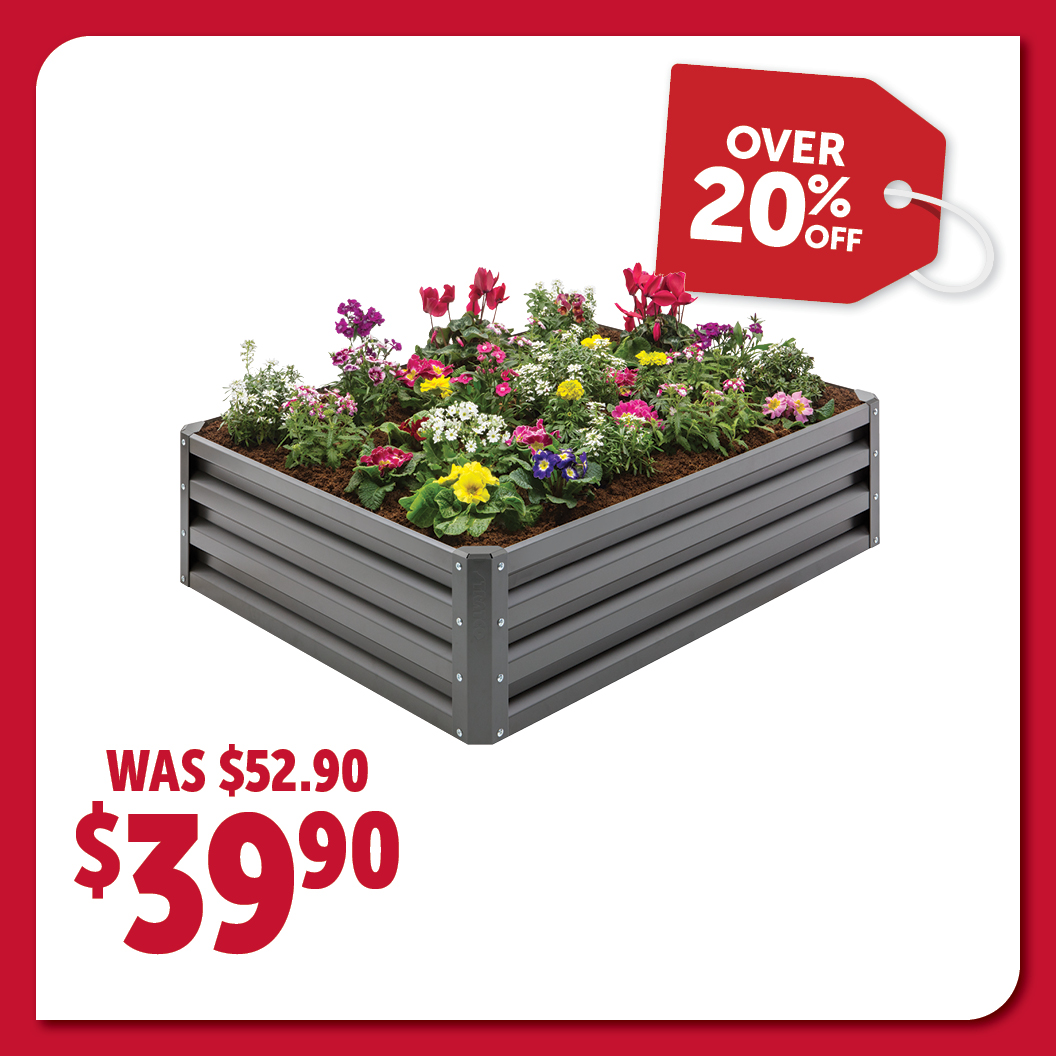June-Offers-258.jpg