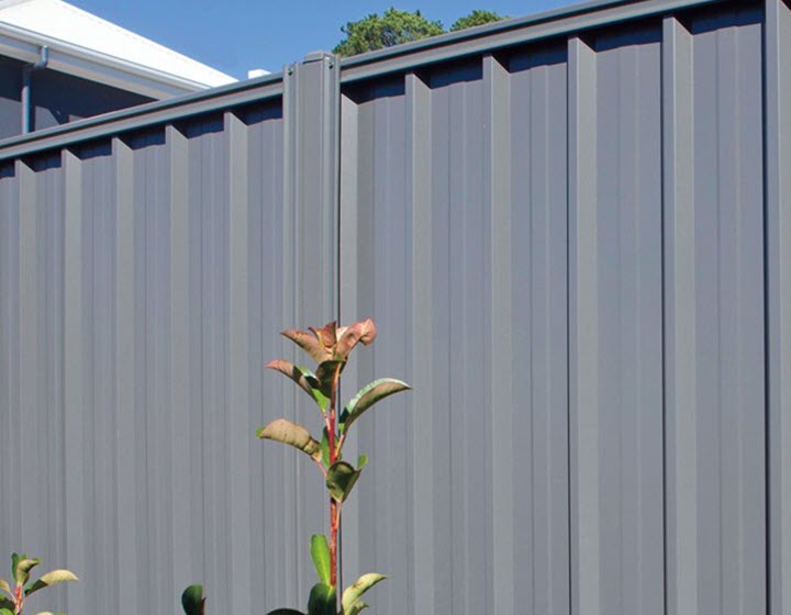 Superdek fence with plant