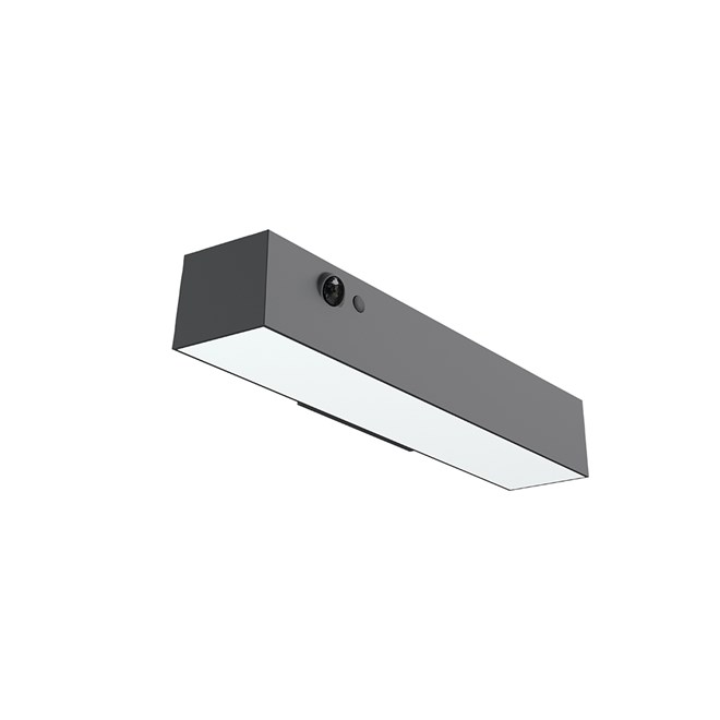 Ledge Solar Wall Down Light With PIR