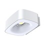 Coast Solar Wall Up/Down Light
