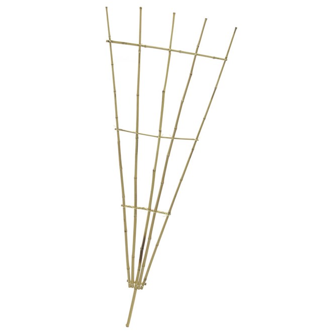 1800mm Fantail Bamboo Support