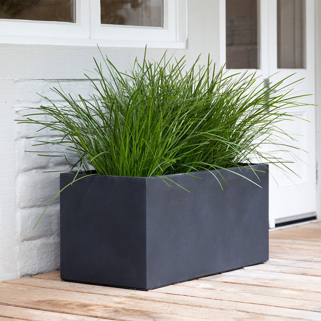 Asher Trough Java Small