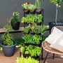 GreenWall Mobile Garden Kit with Irrigation System and 2 x Planter Boxes