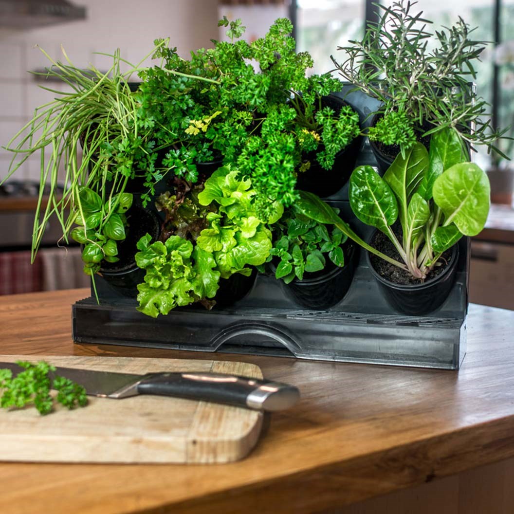 GreenWall Benchtop Planter with Water Tray