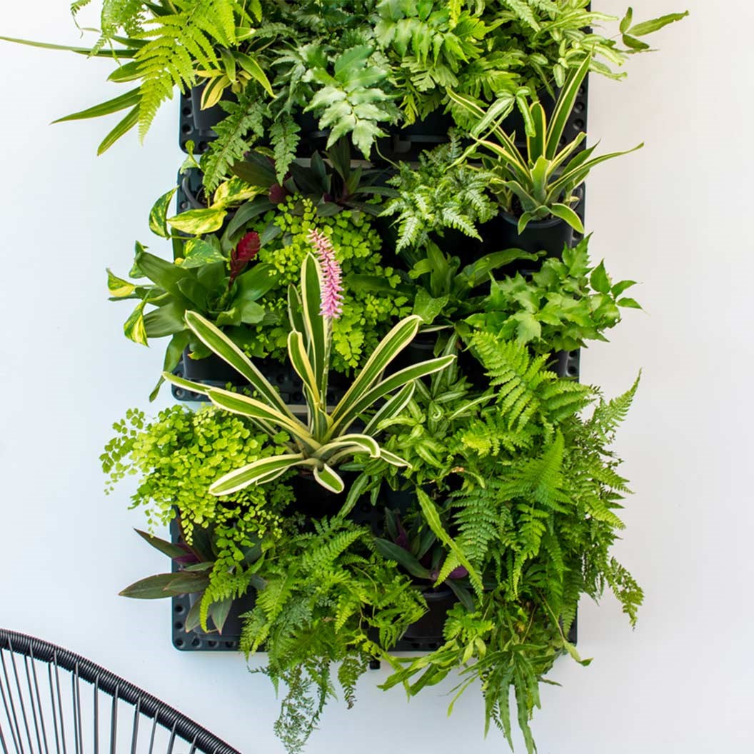 GreenWall Vertical Garden Kit with Irrigation System