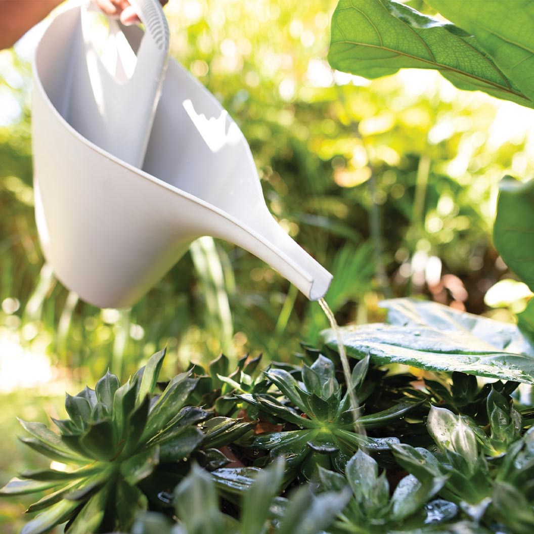 2L ECO Watering Can Papaya