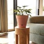 Leonard Self Watering Pot 38x34cm Brick
