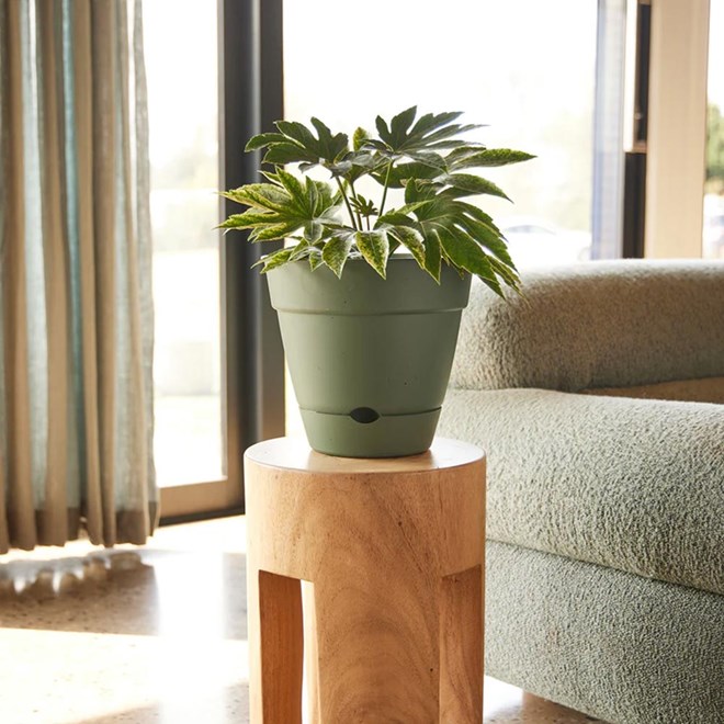 Leonard Self Watering Pot 25x23cm Green