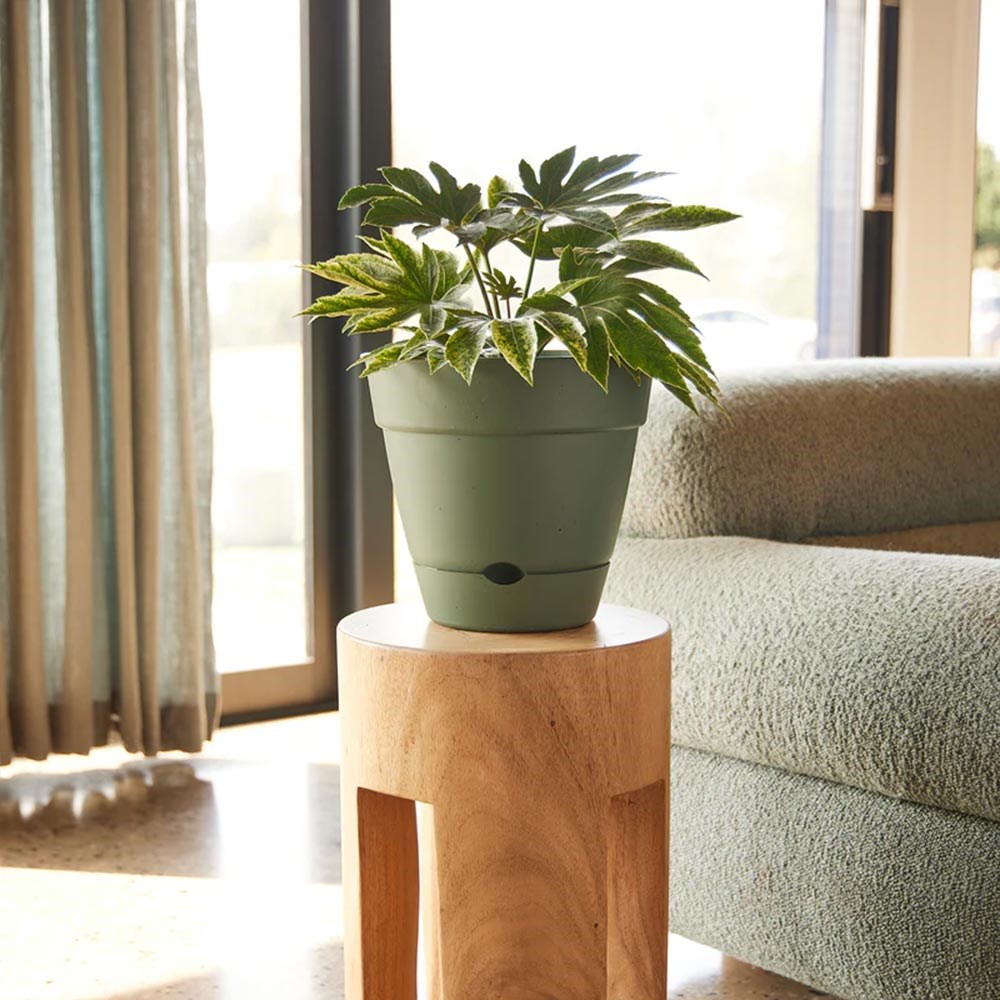 Leonard Self Watering Pot 38x34cm Green