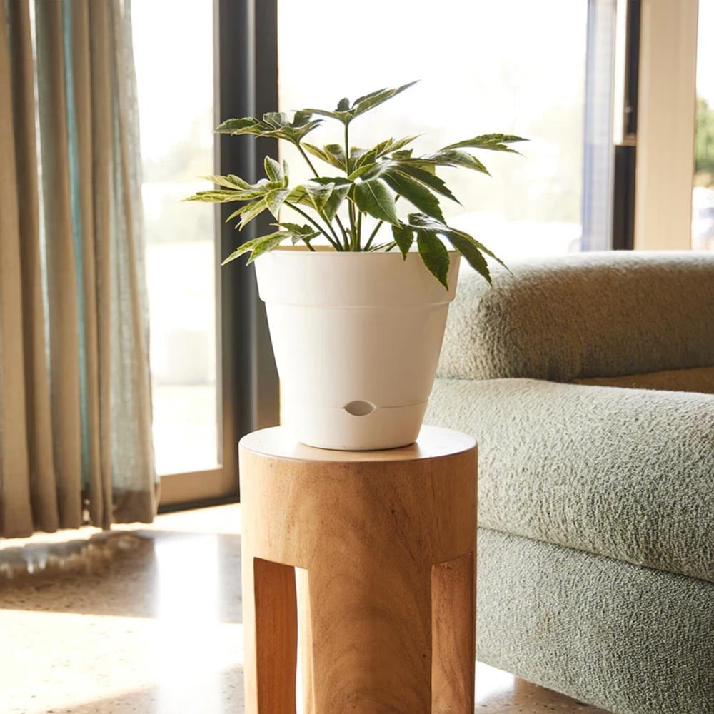 Leonard Self Watering Pot 38x34cm White