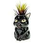 Raven The Cat Planter Pot