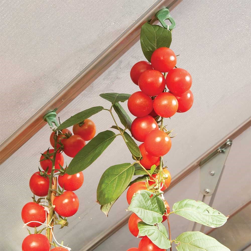 Maze Greenhouse Plant Hangers 10 Pack