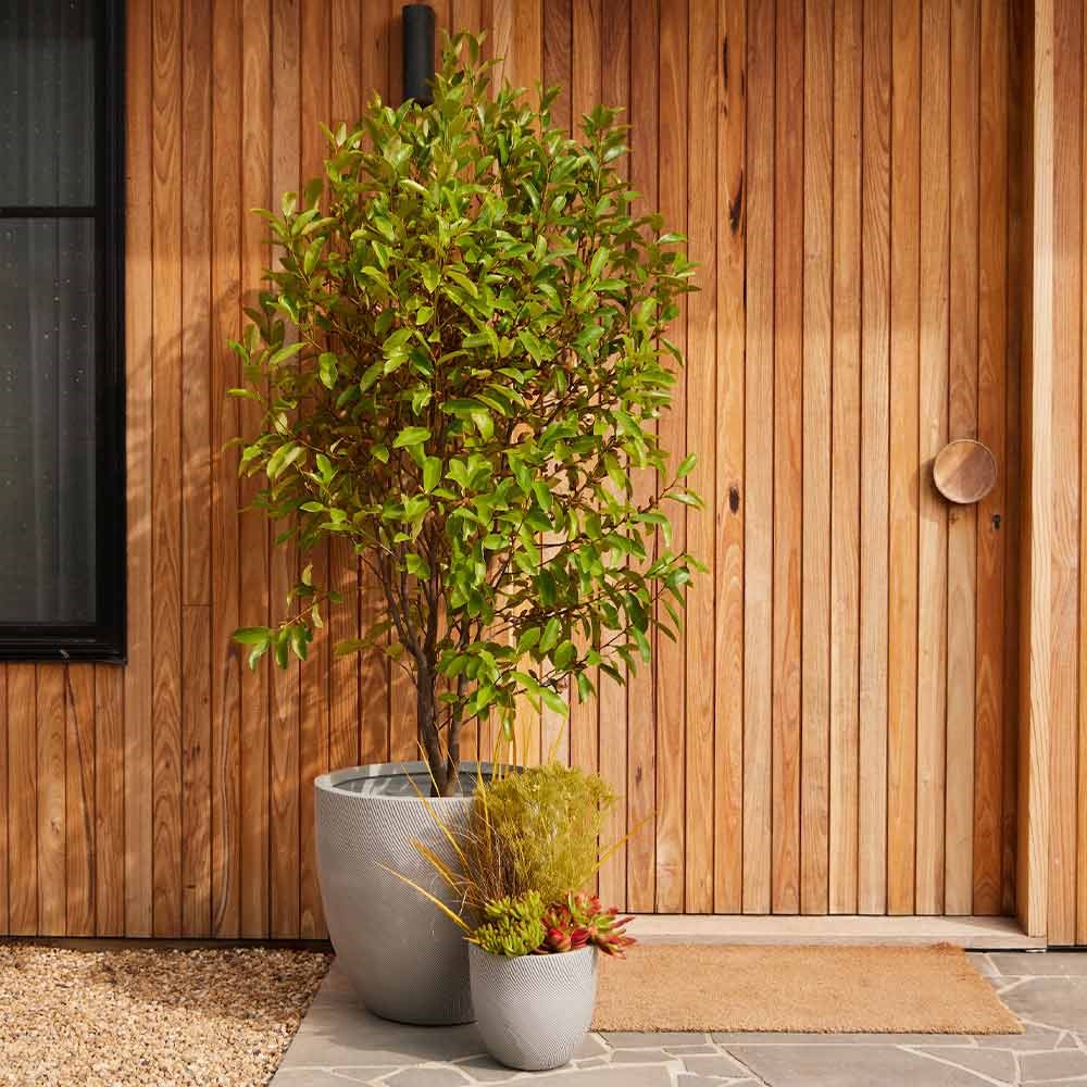 Helix Egg Pot 44x42cm White Large