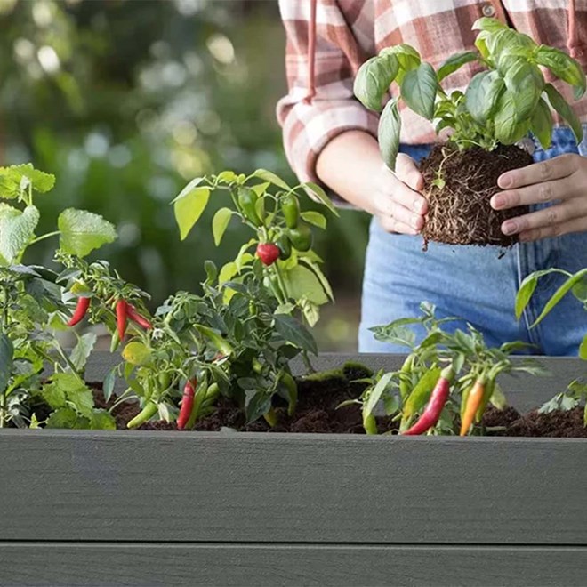 Keter Darwin Raised Garden Bed - Grey