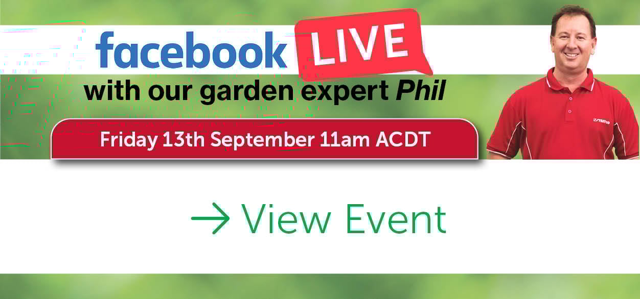 Garden-Newsletter-September-24-GardenLive-3.jpg
