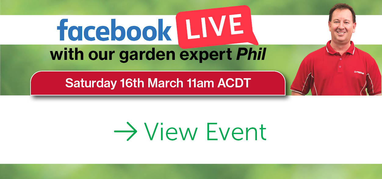 March-Garden-Newsletter-24-Live.jpg