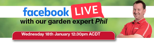 January Garden Live New.jpg